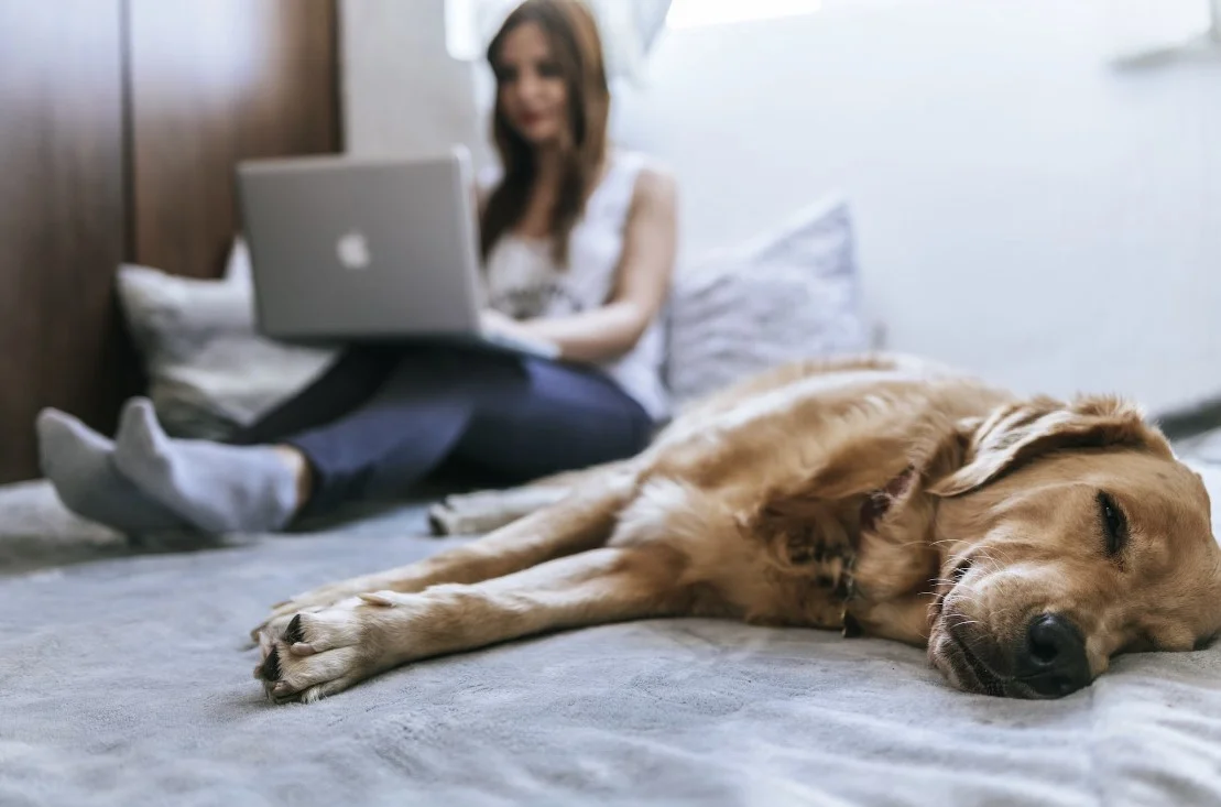 smart bed technology